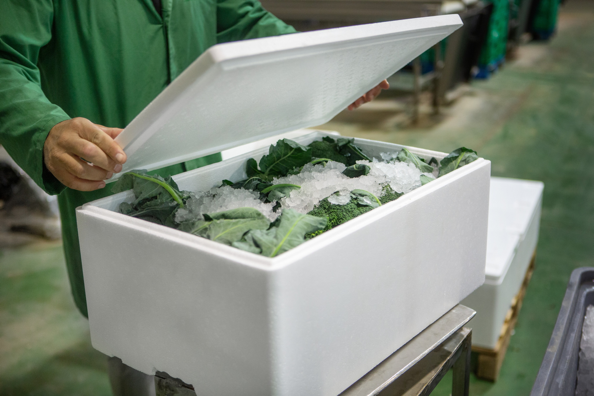 In cold-chain environments, packaging performance and recovery have to coexist