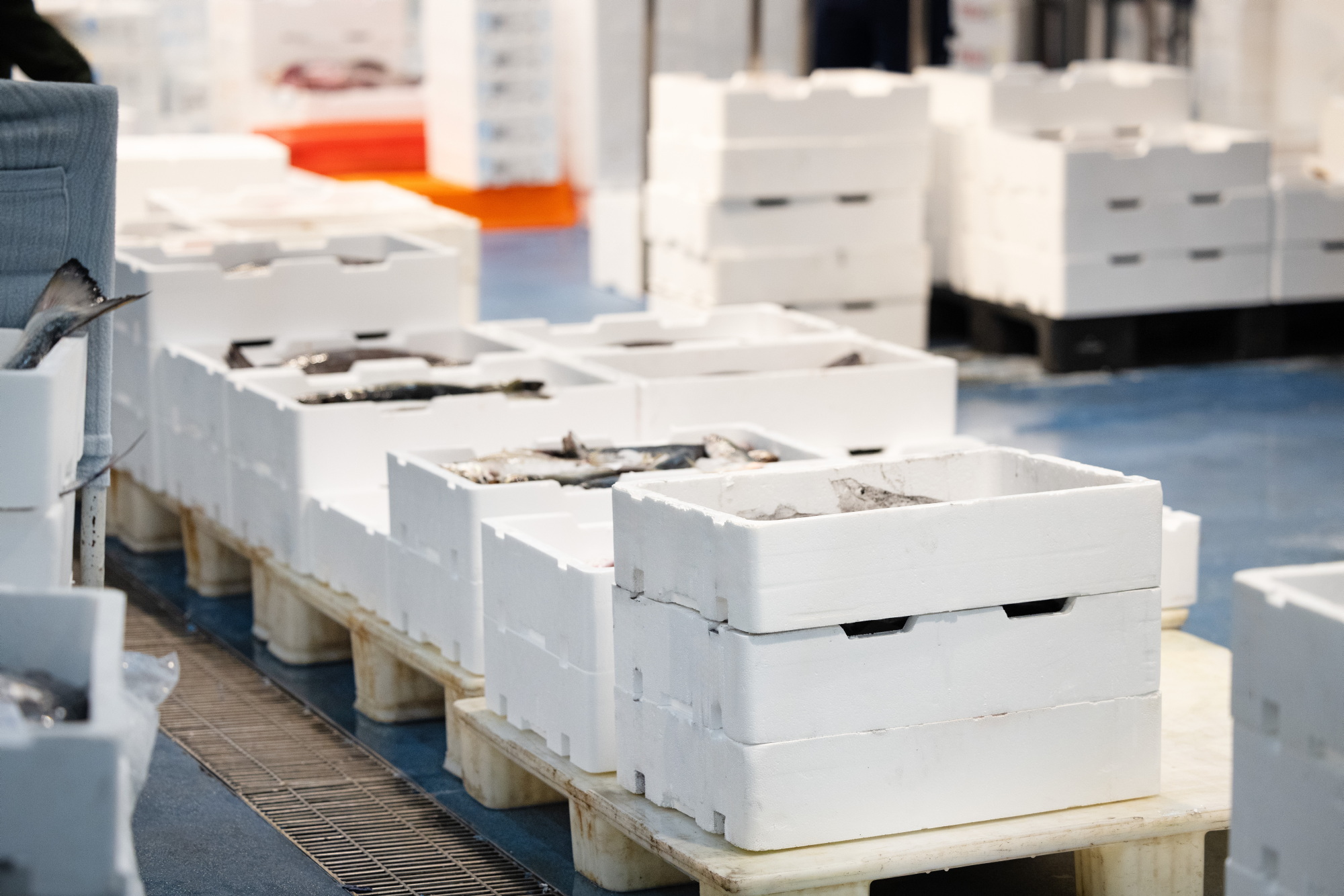 Fish industry
