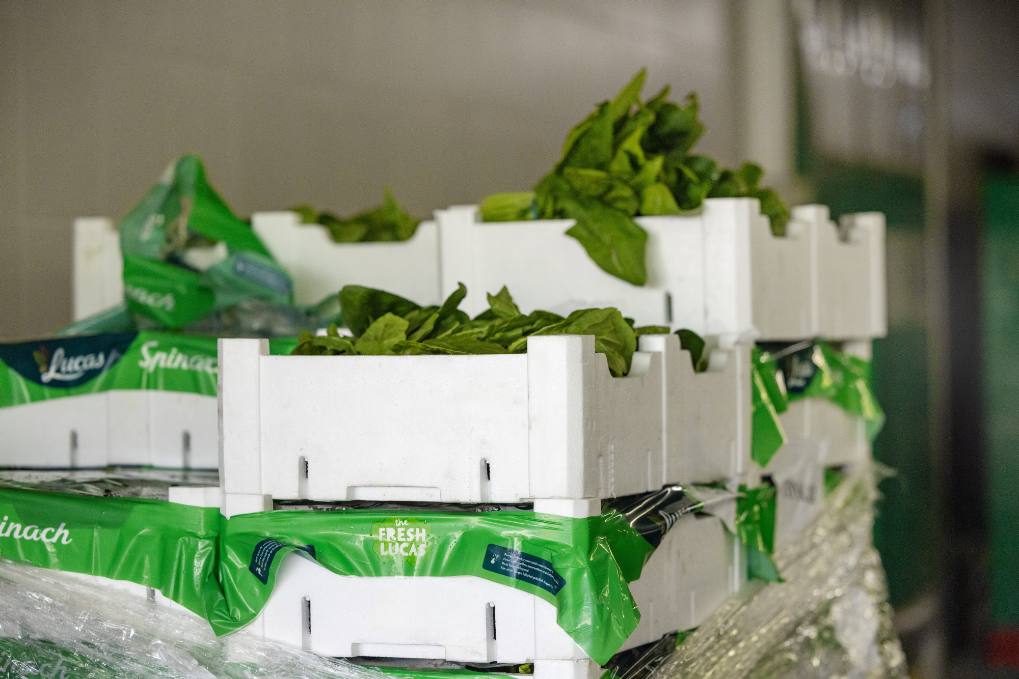 Food & cold chain